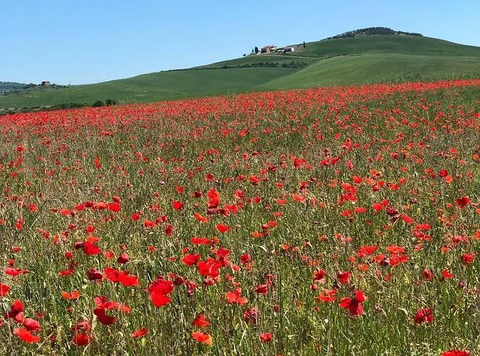 Agriturismo Poggio Tobruk Pienza